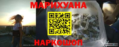шишки Жуковский
