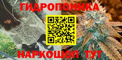 шишки Жуковский