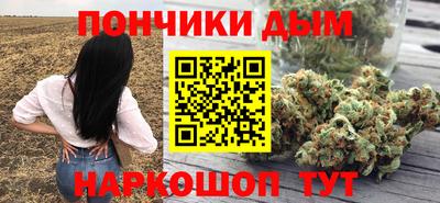 шишки Жуковский