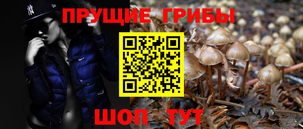 Галлюциногенные грибы GOLDEN TEACHER  Вход с VPN  купить закладку  Минеральные Воды 